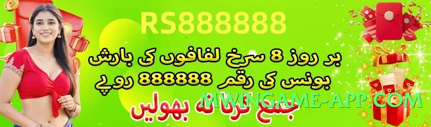 winpkr Flash v9.0.0 Screenshot 3